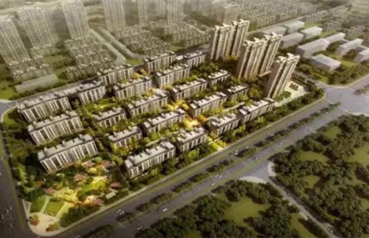 【康隆•项目荣誉咨讯】